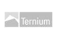 ternium_logo.jpg